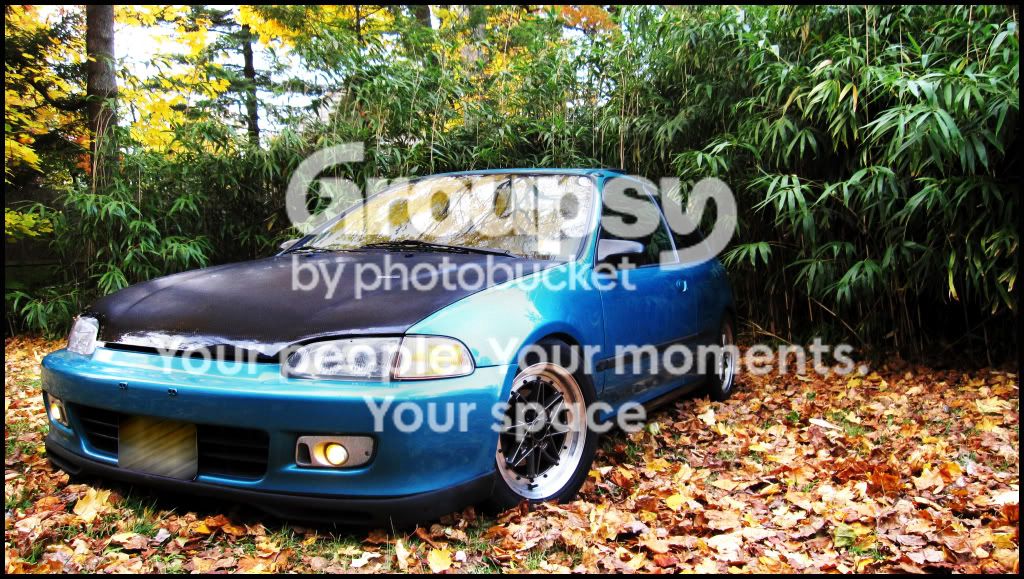 IMG_1224.jpg