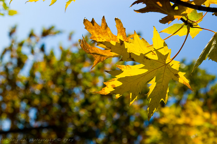 changes071025_03.jpg