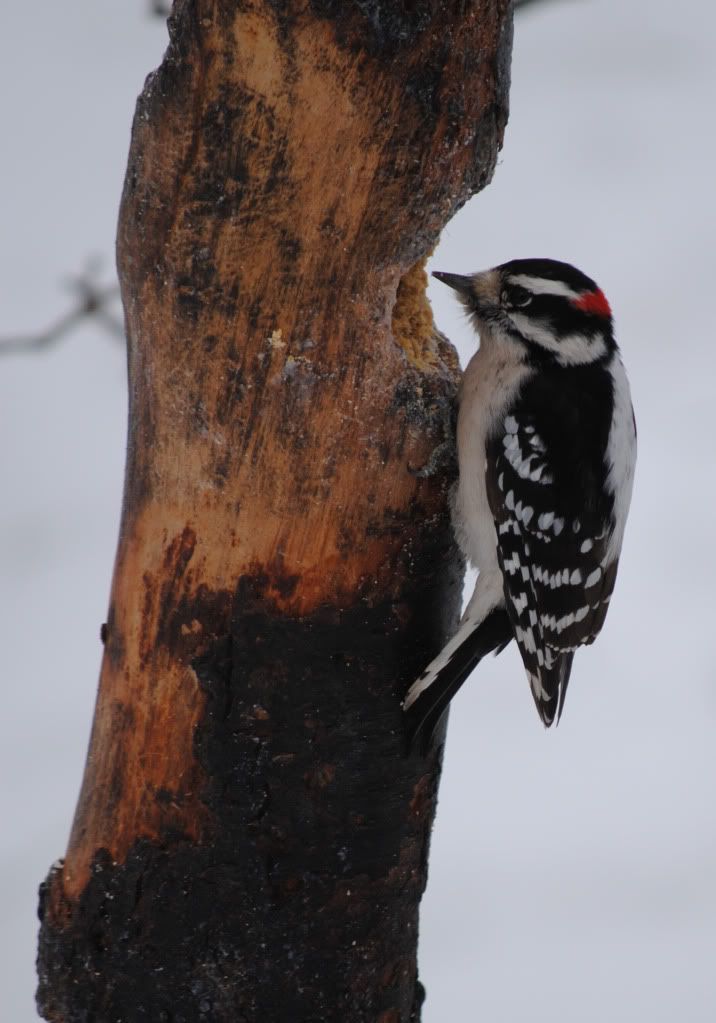 20110127_0172_edited-1.jpg