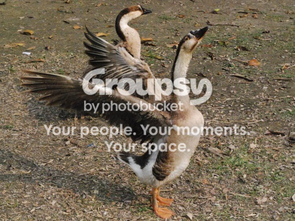 CSC_0378.jpg