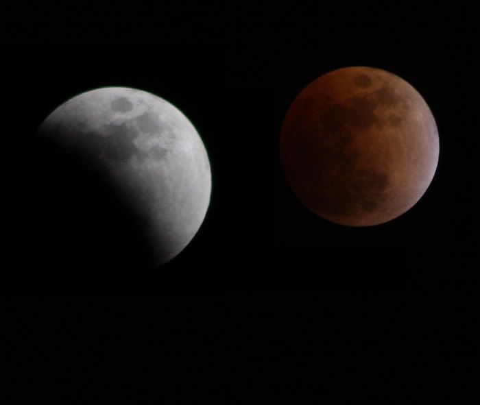 Moon.jpg