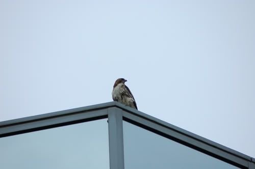 DSC_5210.jpg