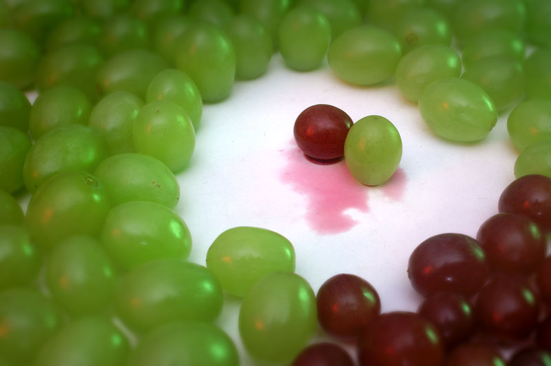 grape_03.jpg