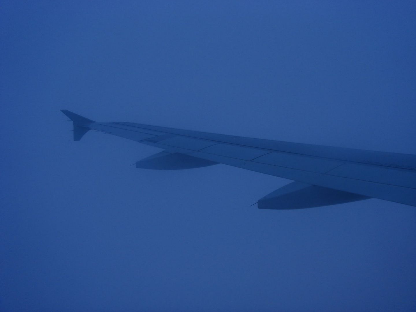 DN720-Wing-12.jpg