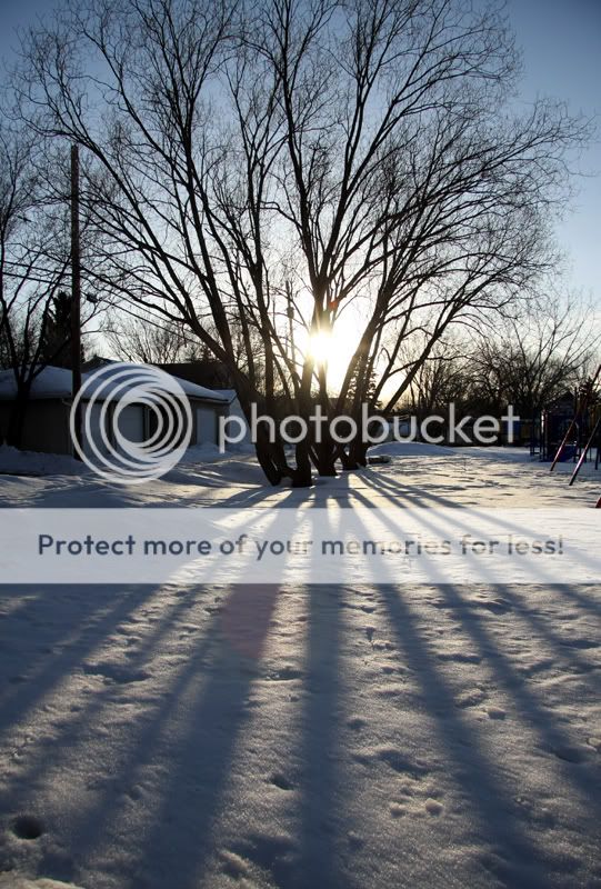 IMG_865c.jpg