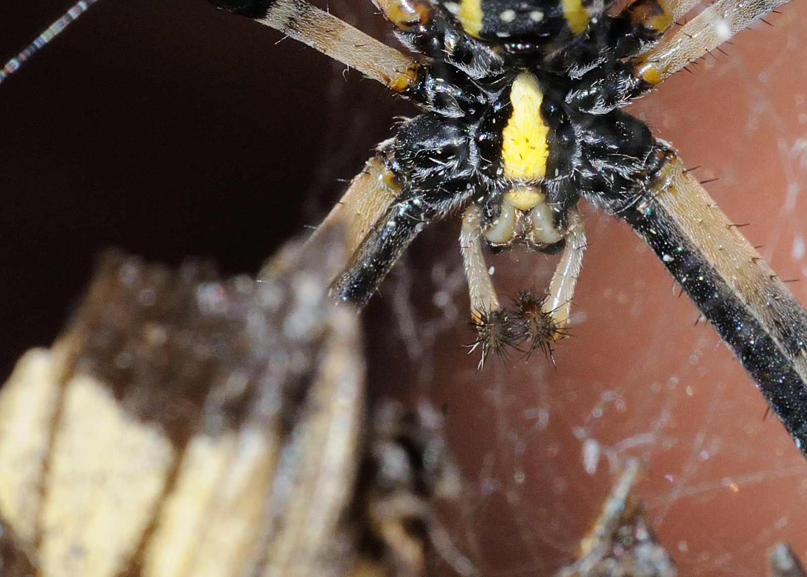 DSC_00087-X3.jpg
