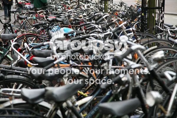 bikes1.jpg