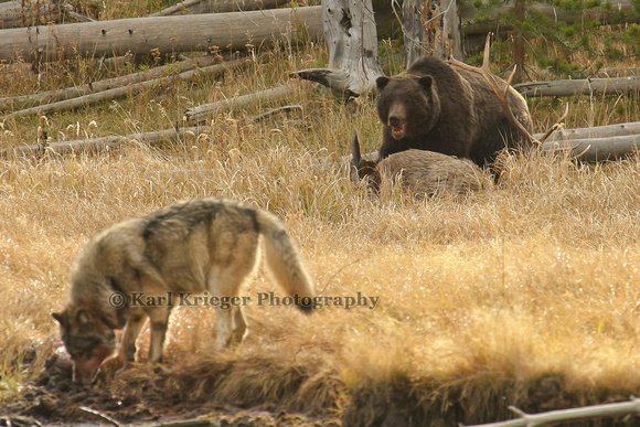 p882285839-3.jpg