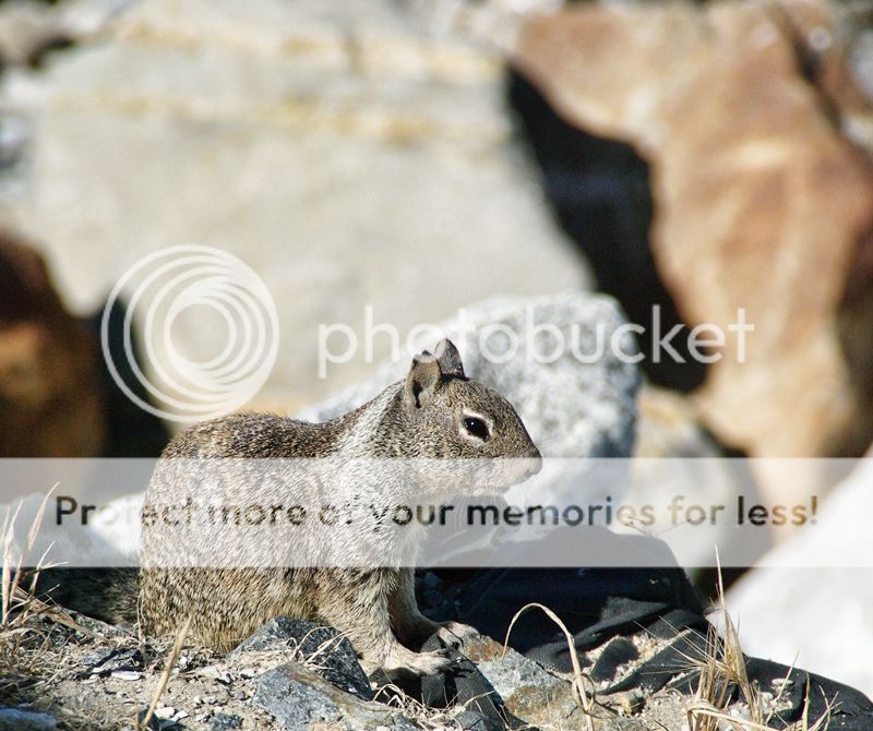 IMGP6885.jpg