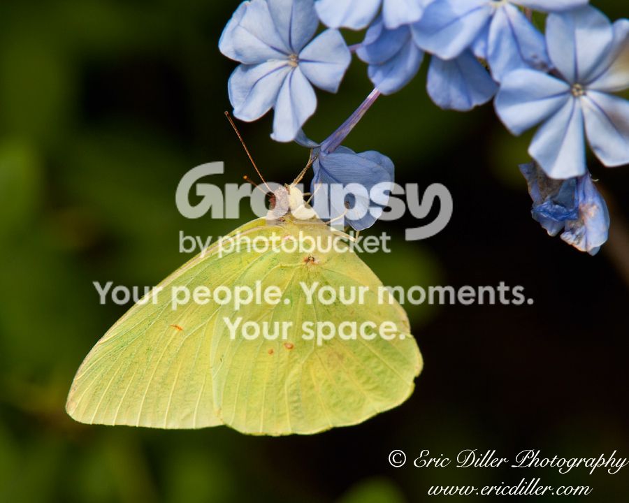 _ECD2576-copy900.jpg