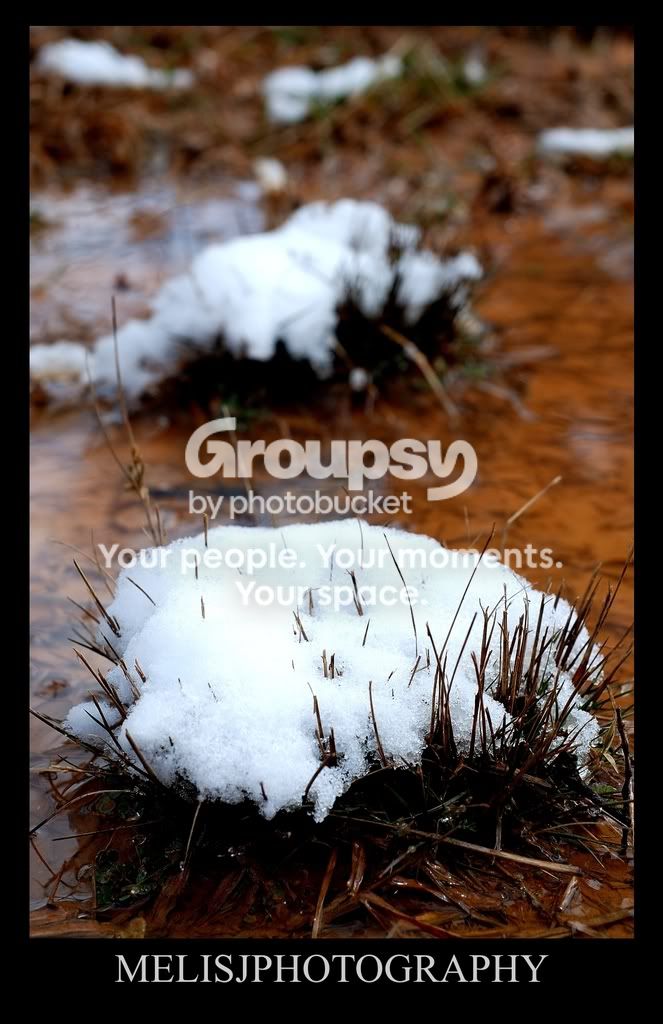 snow1.jpg