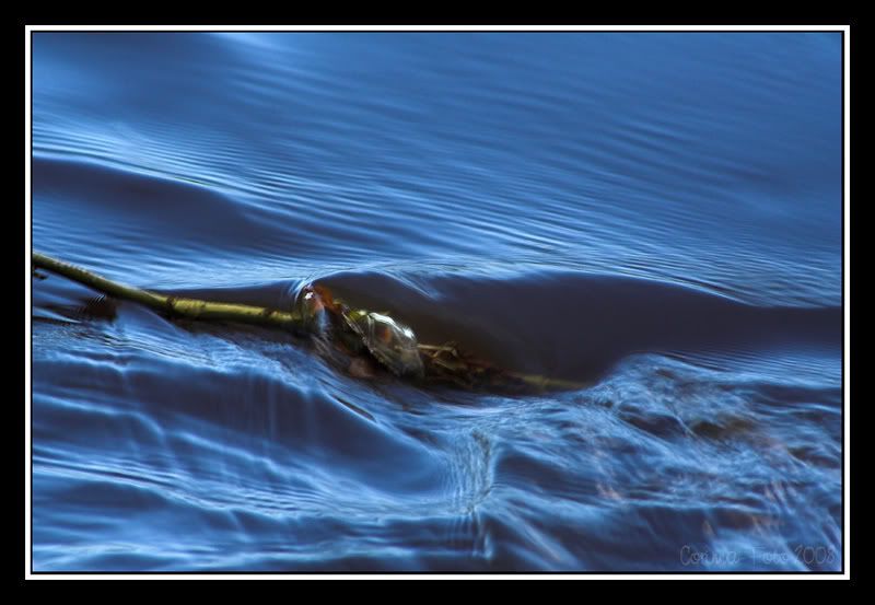 FlowingWater.jpg
