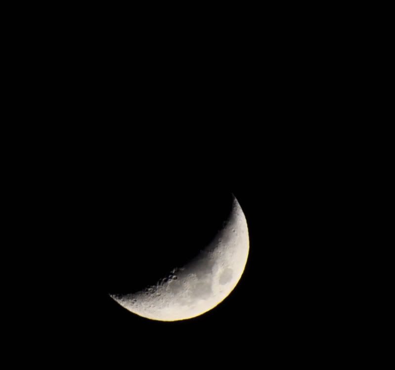 moon.jpg