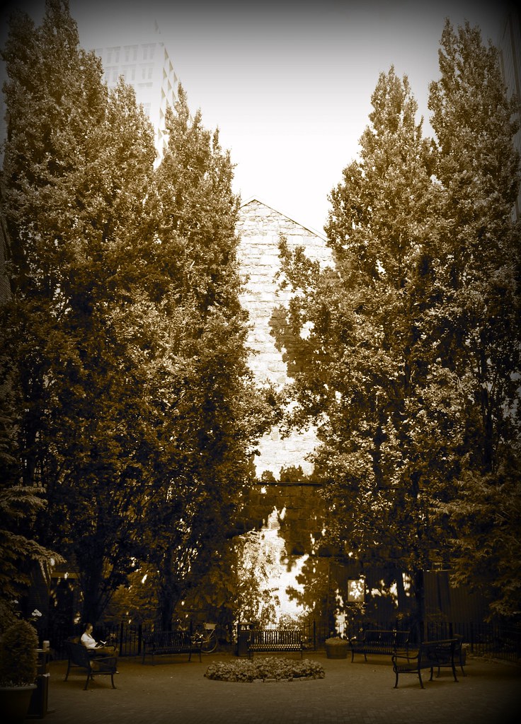 3775336049_d4674d3149_b.jpg