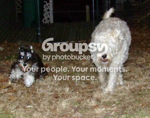 036-2.jpg