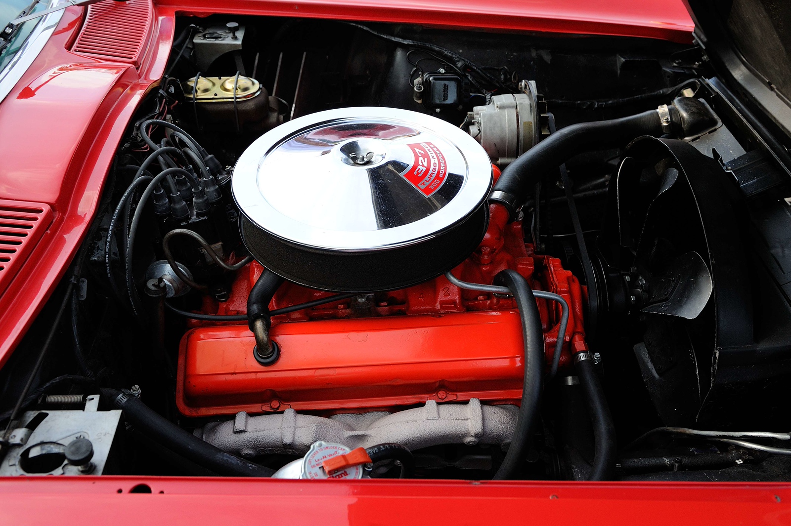DSC_00136-X3.jpg