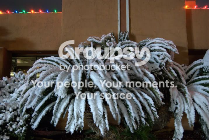 snow6.jpg