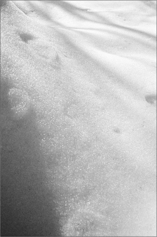 scan400-XL.jpg