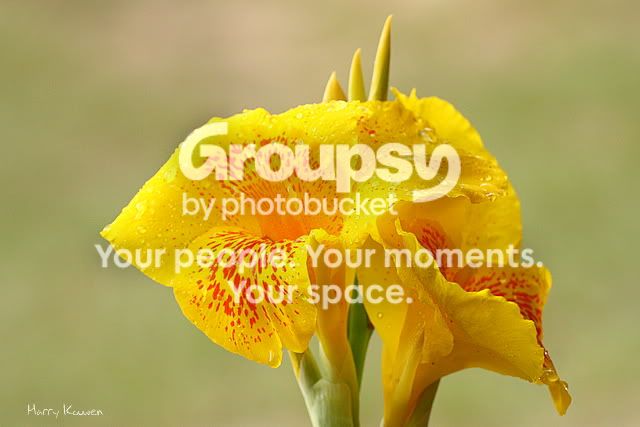 IMG_8390.jpg