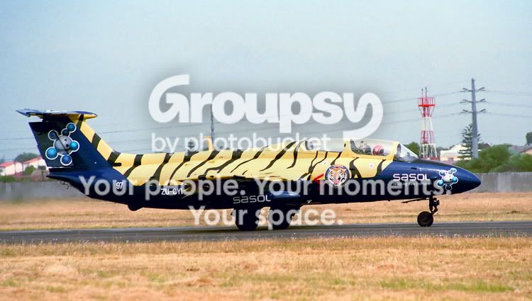 sasoltiger1.jpg