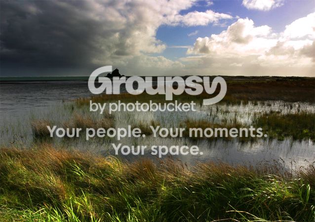 greengrass.jpg