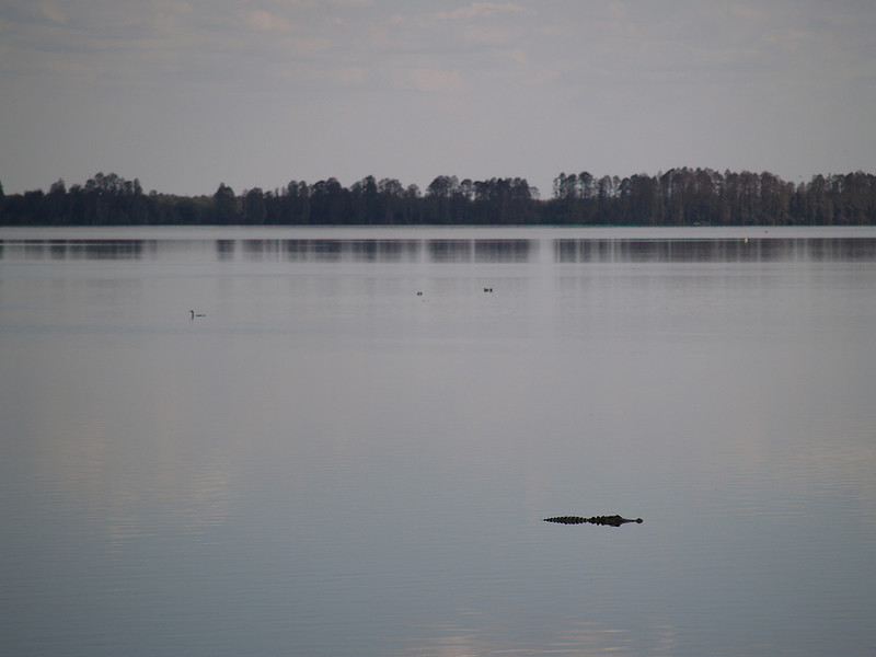p951907441-4.jpg