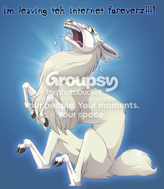 DramaLlama.jpg