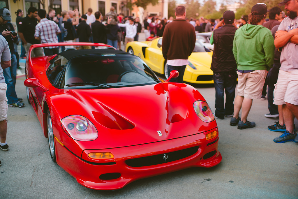 DSC_1778-XL.jpg