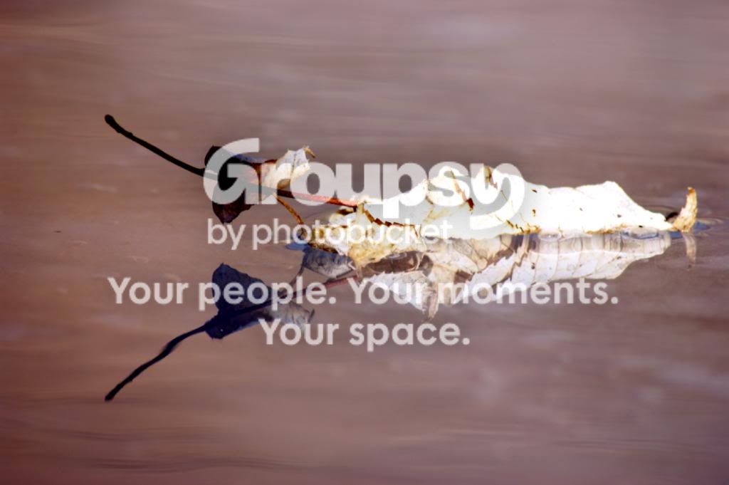 Copyof1-31-09004.jpg