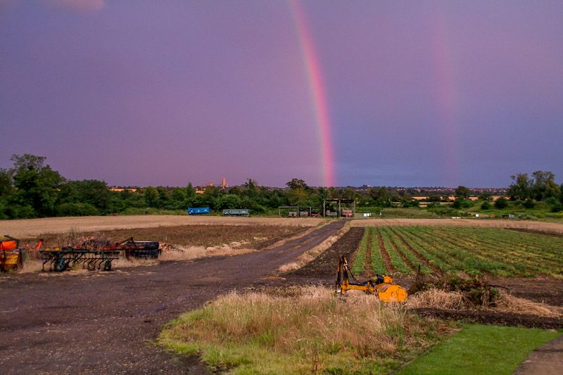 rainbow-6.jpg