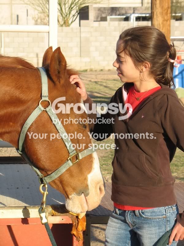 HorsesHelp100.jpg