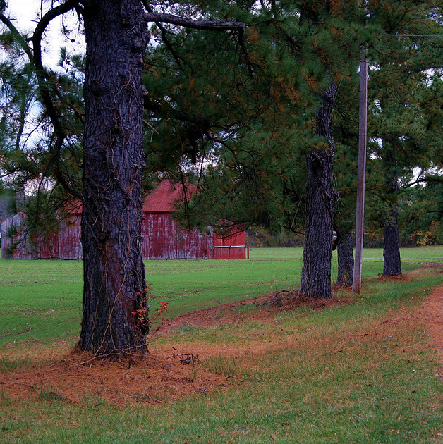 p282323169-4.jpg