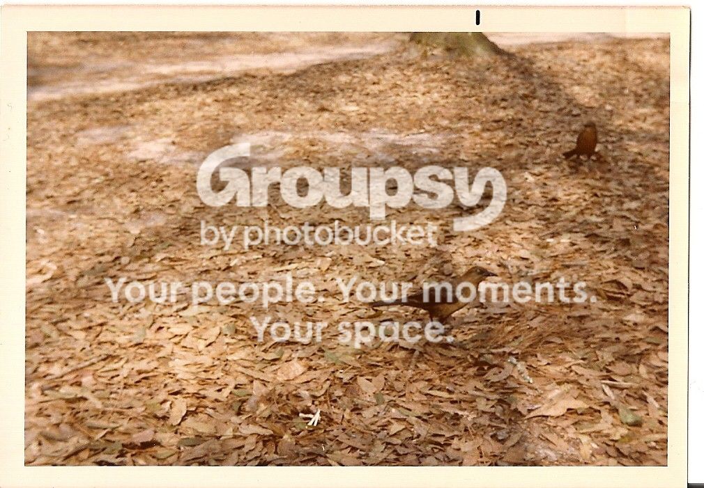 scan0002.jpg