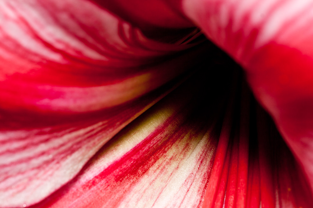 5516002010_69c44a9f3b_b.jpg