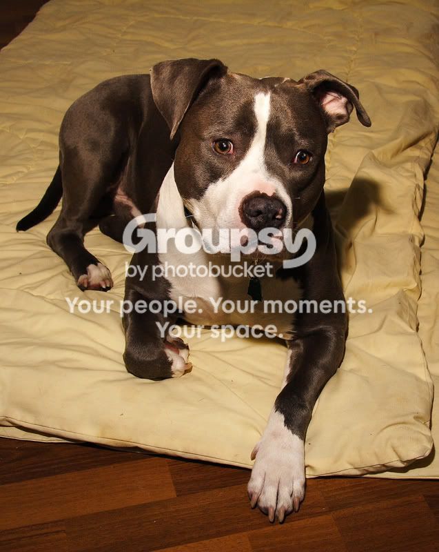 wally088.jpg