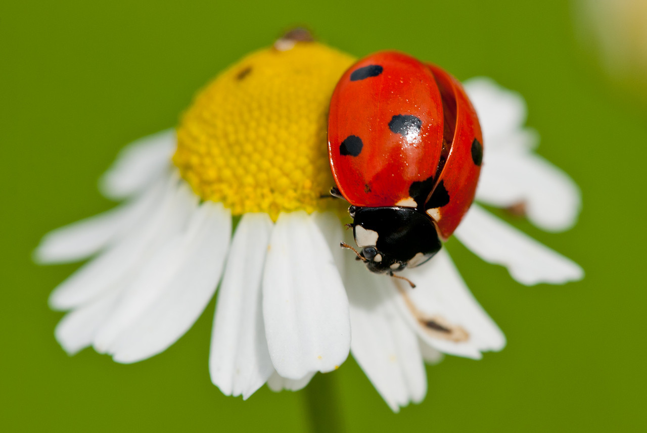 DSC_1603-X2.jpg