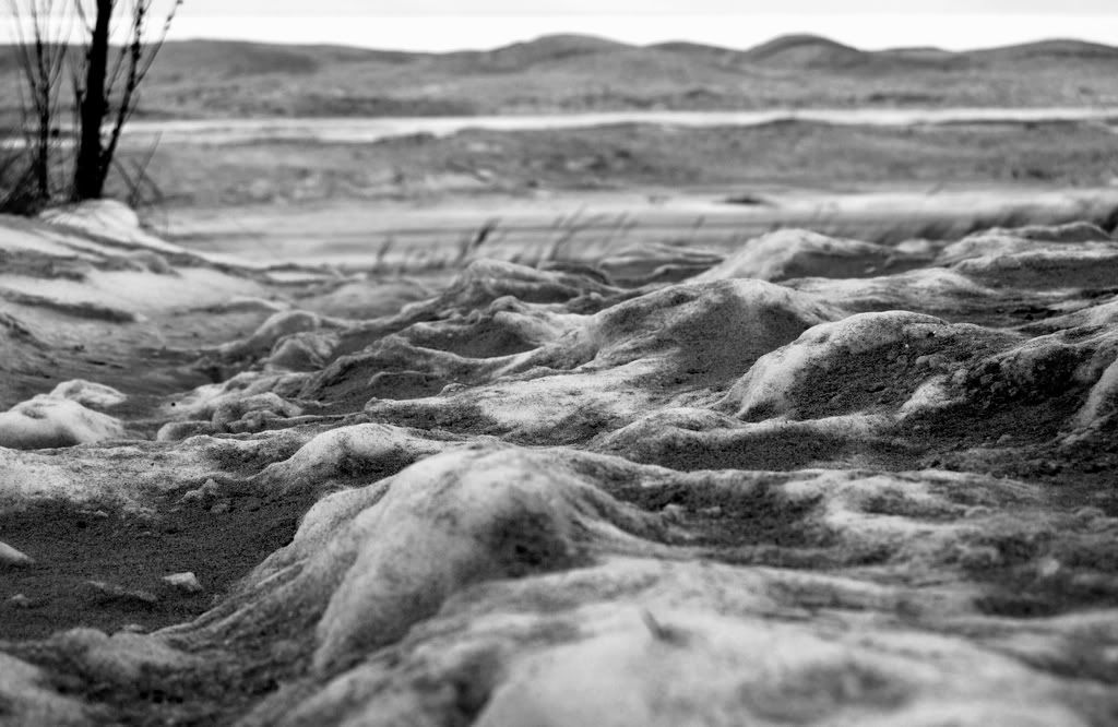 DSC_1173.jpg