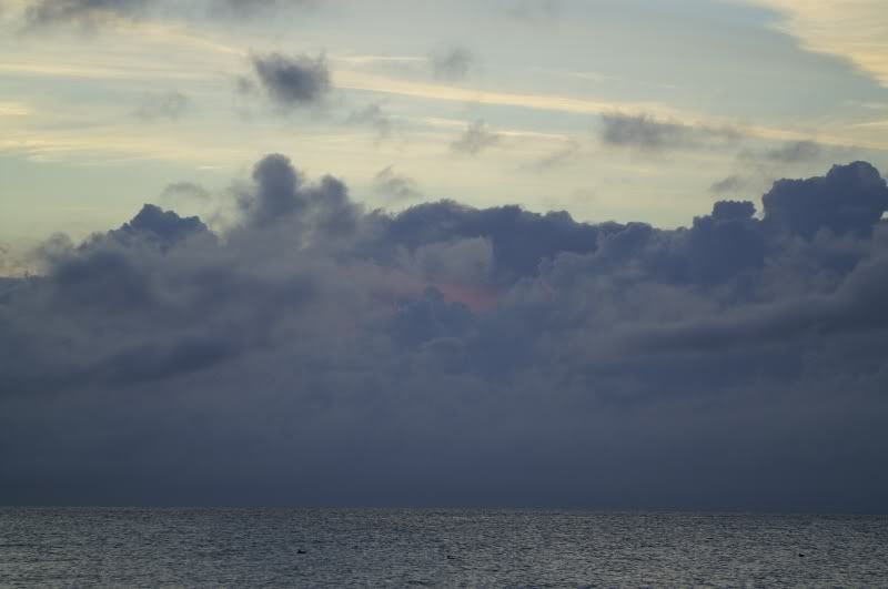 PICT2378.jpg