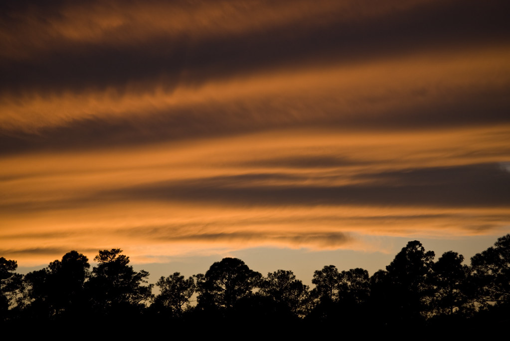3960059413_efb54c513e_b.jpg