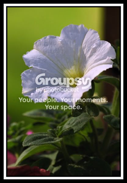 96f3bd79.jpg