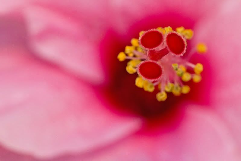 IMG_1154-Edit-2-1.jpg