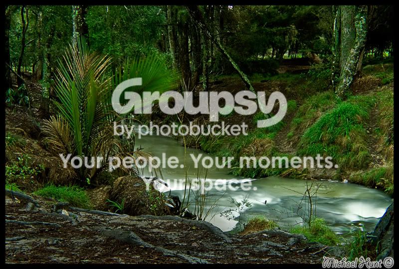 Totara-Forest-Stream-02-Final.jpg