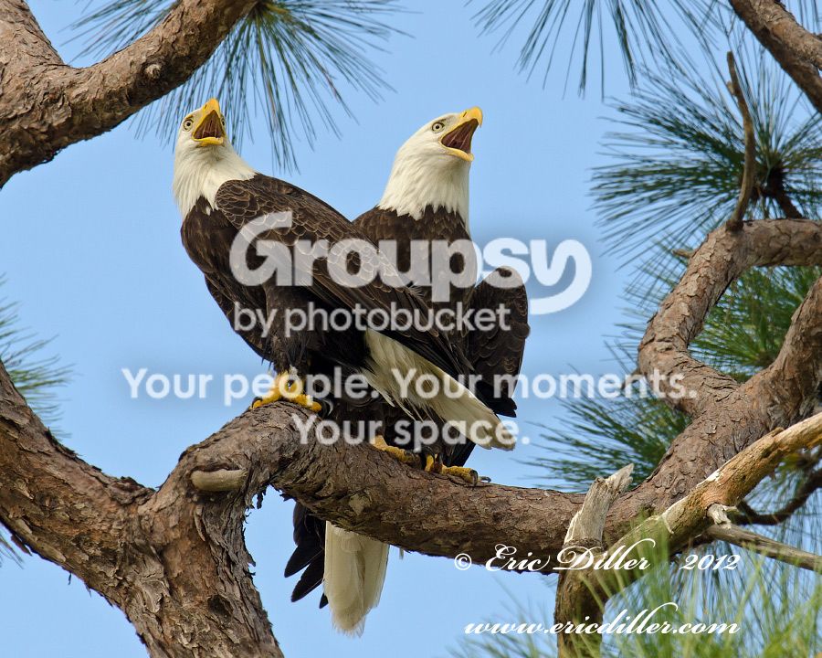 _ECD6014-copy900.jpg