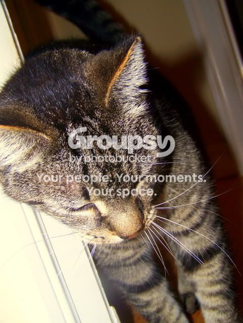 100_5623.jpg