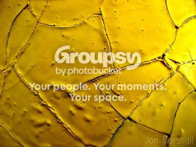 Paint.jpg