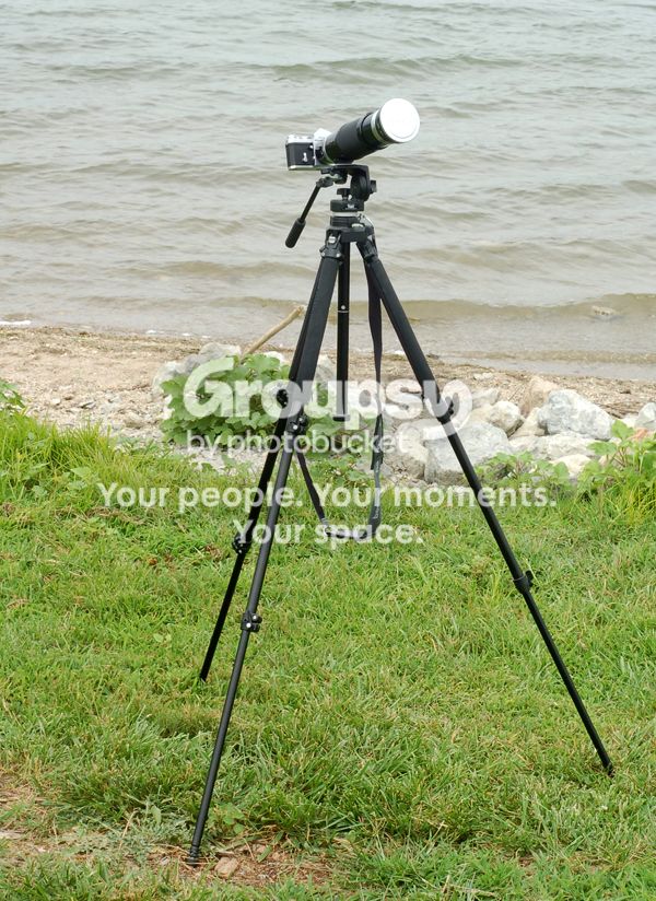 Nikkor85250001.jpg