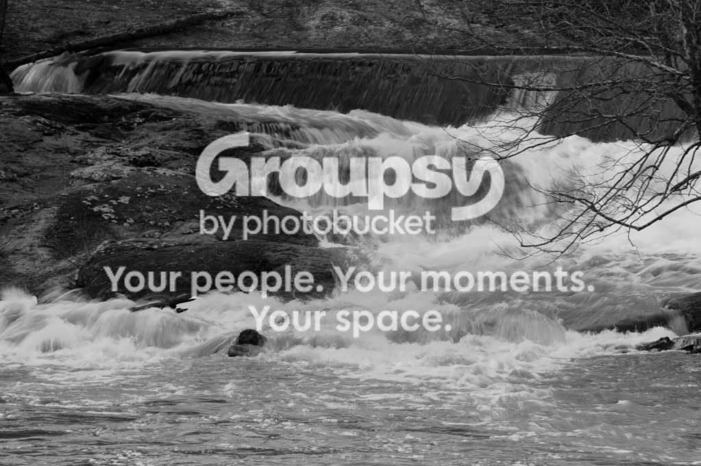 DSC00580bw.jpg