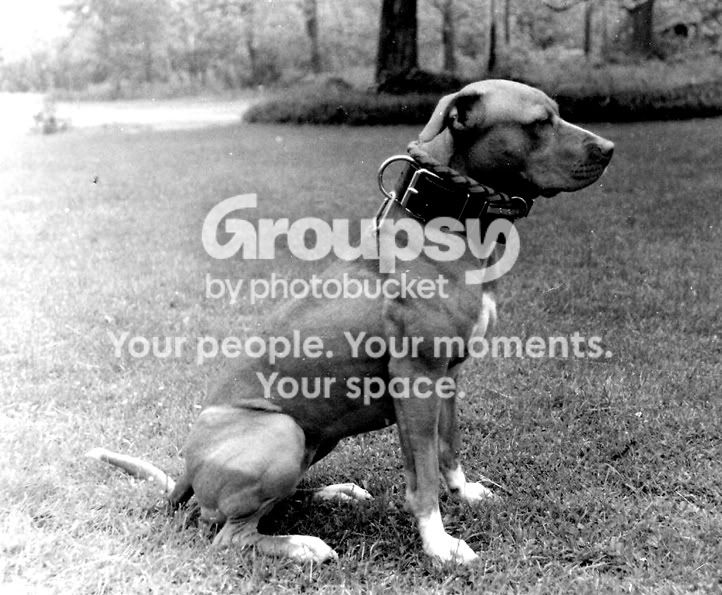 shoot3006.jpg