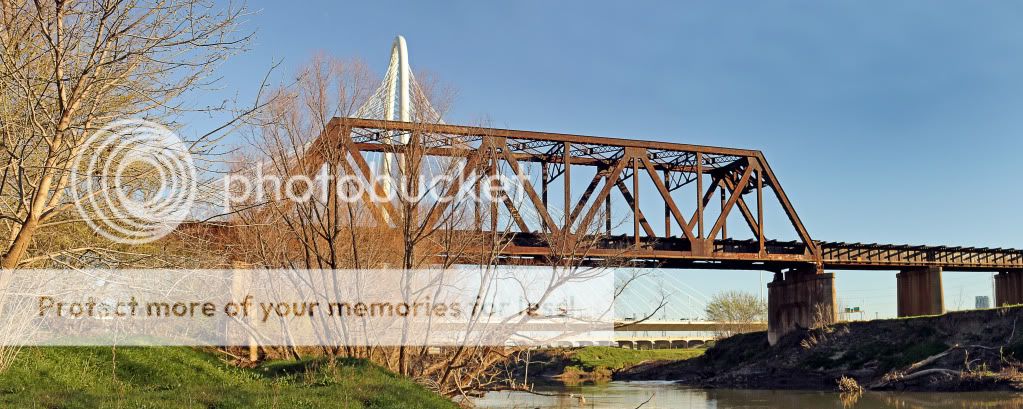 7dandnikon6.jpg