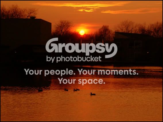sunsetducks.jpg
